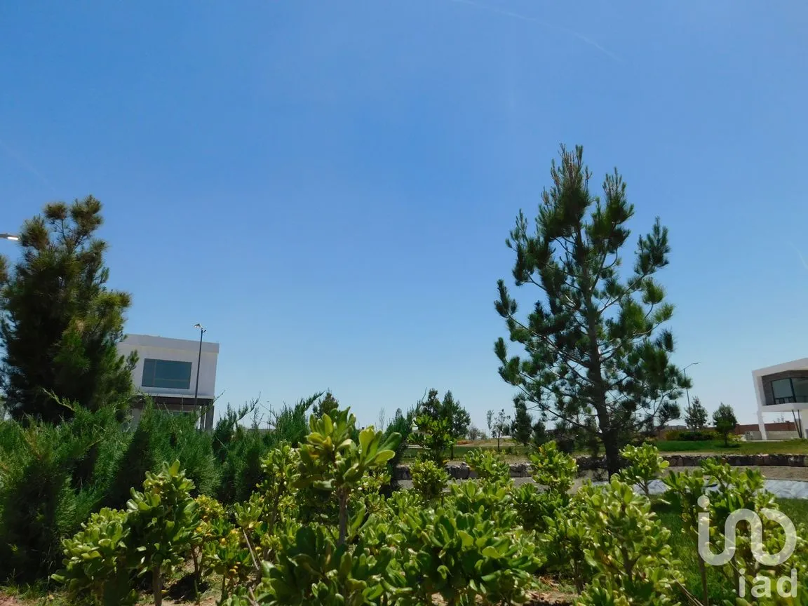 Terreno en Venta en Altozano el Nuevo Juárez, Juárez, Chihuahua | NEX-148233 | iad México | Foto 6 de 6