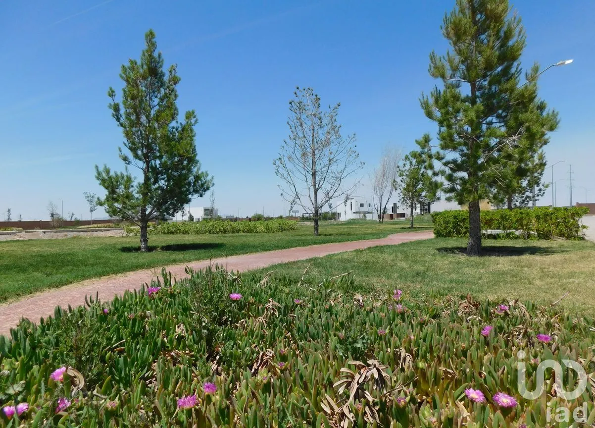 Terreno en Venta en Altozano el Nuevo Juárez, Juárez, Chihuahua | NEX-148236 | iad México | Foto 8 de 9