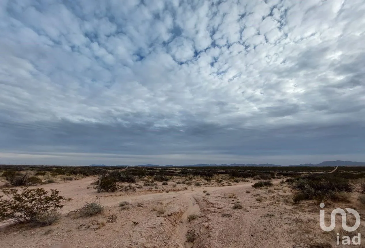 Terreno en Venta en San Isidro Río Grande, Juárez, Chihuahua | NEX-158313 | iad México | Foto 11 de 12