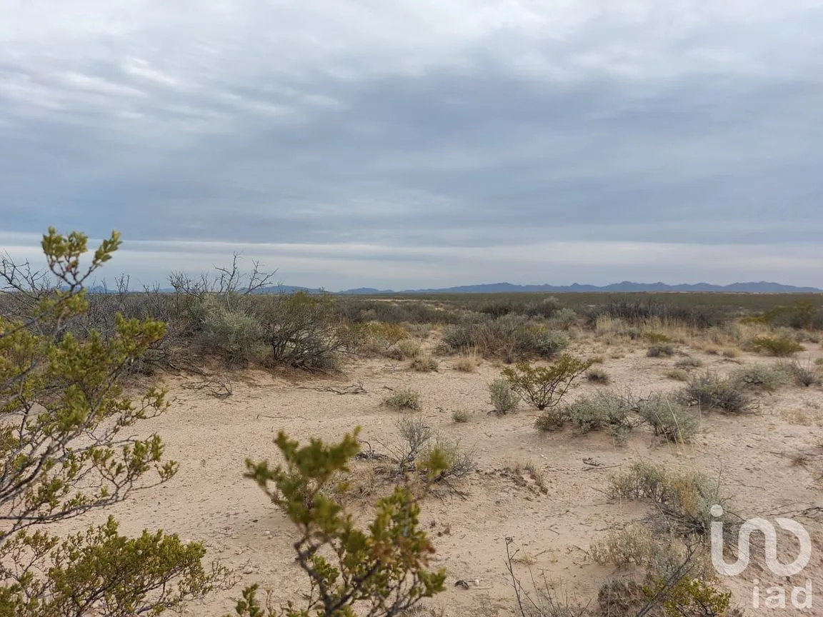 Terreno en Venta en San Isidro Río Grande, Juárez, Chihuahua | NEX-158313 | iad México | Foto 12 de 12