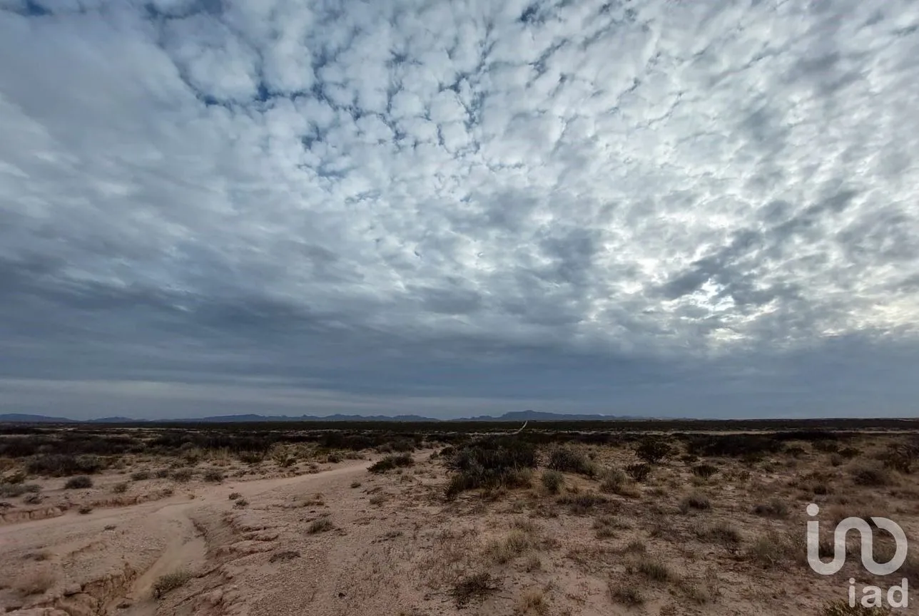 Terreno en Venta en San Isidro Río Grande, Juárez, Chihuahua | NEX-158313 | iad México | Foto 5 de 12