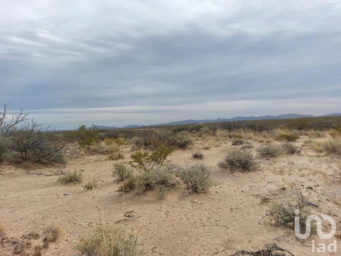 Terreno en Venta en San Isidro Río Grande, Juárez, Chihuahua | NEX-158313 | iad México | Foto 7 de 12