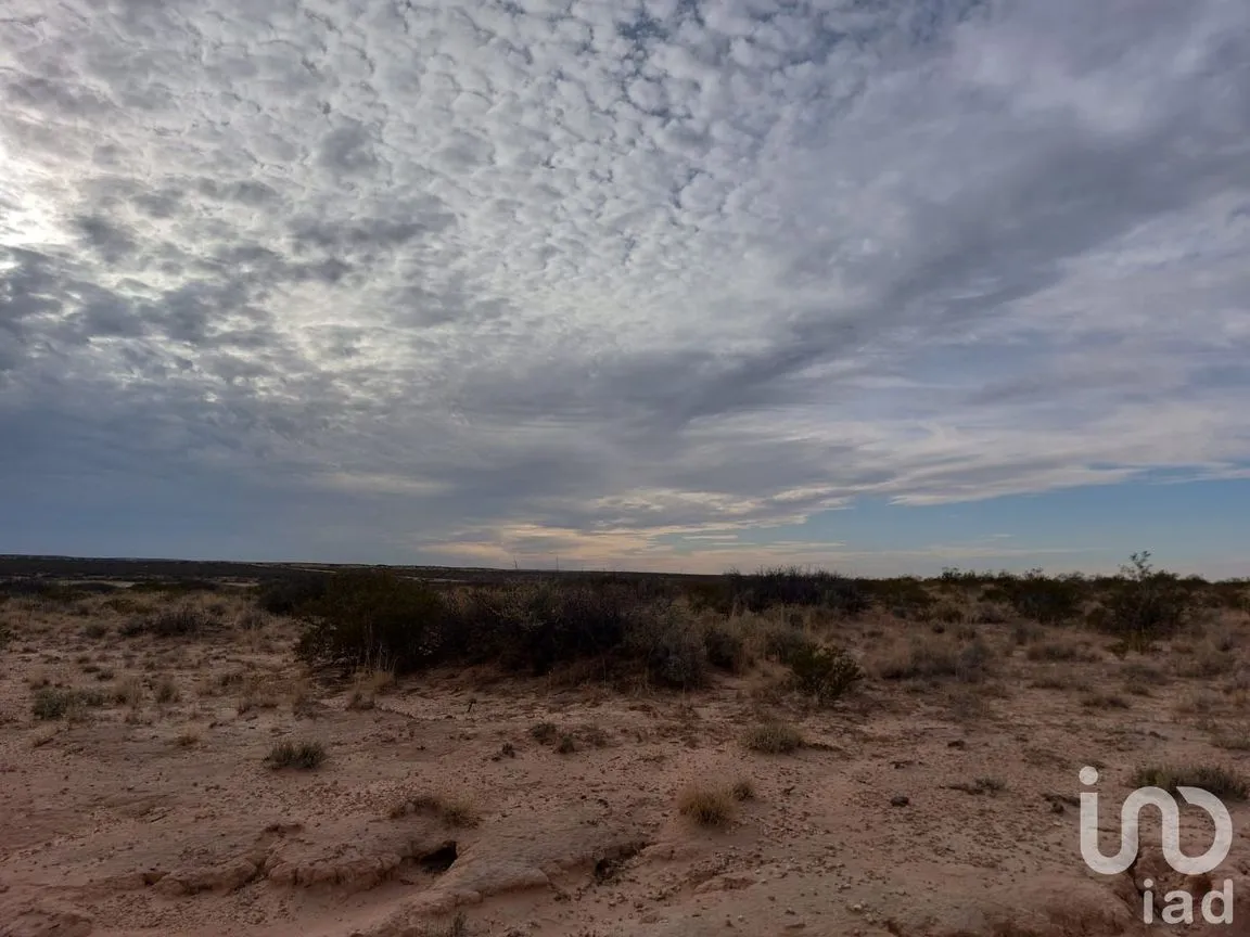 Terreno en Venta en San Isidro Río Grande, Juárez, Chihuahua | NEX-158313 | iad México | Foto 8 de 12