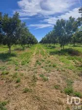 NEX-158473 - Terreno en Venta en San Isidro Río Grande, CP 32720, Chihuahua.