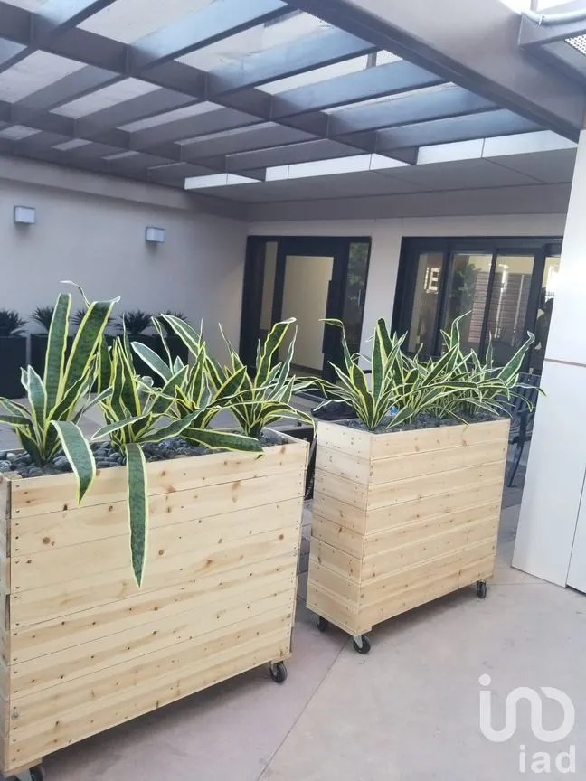 Departamento en Renta en Era del Valle, Juárez, Chihuahua | NEX-192291 | iad México | Foto 11 de 17