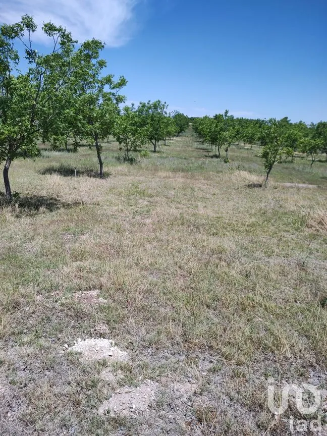 Terreno en Venta en San Francisco de Conchos, San Francisco de Conchos, Chihuahua | NEX-300685 | iad México | Foto 11 de 14