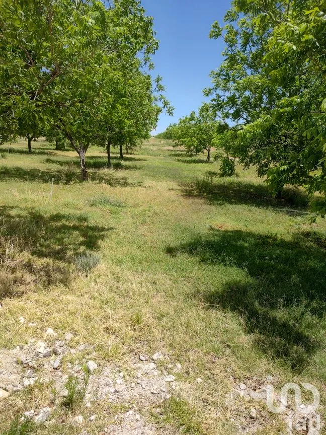 Terreno en Venta en San Francisco de Conchos, San Francisco de Conchos, Chihuahua | NEX-300685 | iad México | Foto 12 de 14