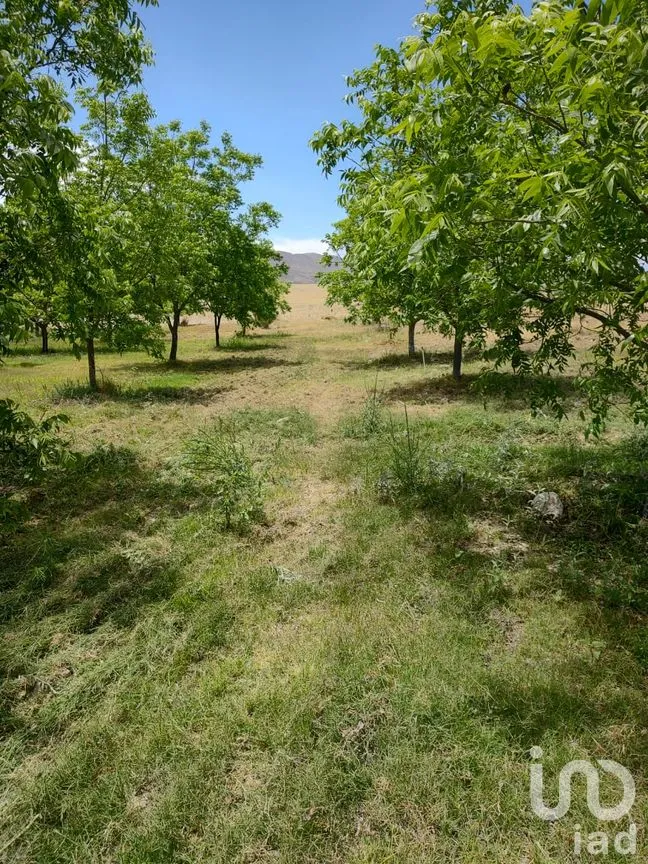 Terreno en Venta en San Francisco de Conchos, San Francisco de Conchos, Chihuahua | NEX-300685 | iad México | Foto 13 de 14