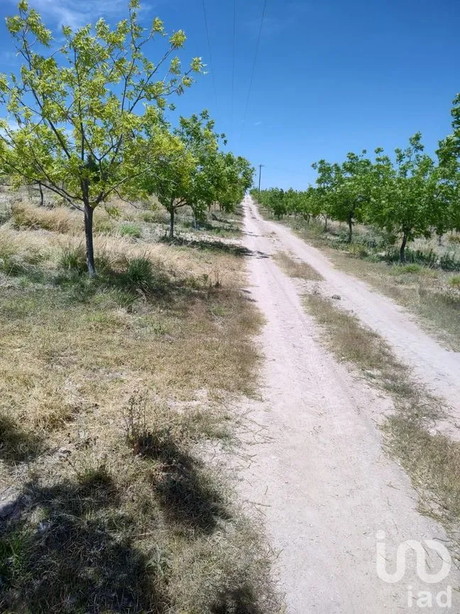 Terreno en Venta en San Francisco de Conchos, San Francisco de Conchos, Chihuahua | NEX-300685 | iad México | Foto 5 de 14