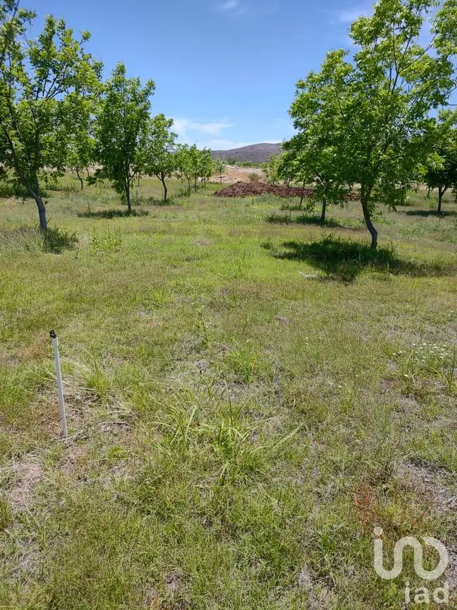 Terreno en Venta en San Francisco de Conchos, San Francisco de Conchos, Chihuahua | NEX-300685 | iad México | Foto 9 de 14