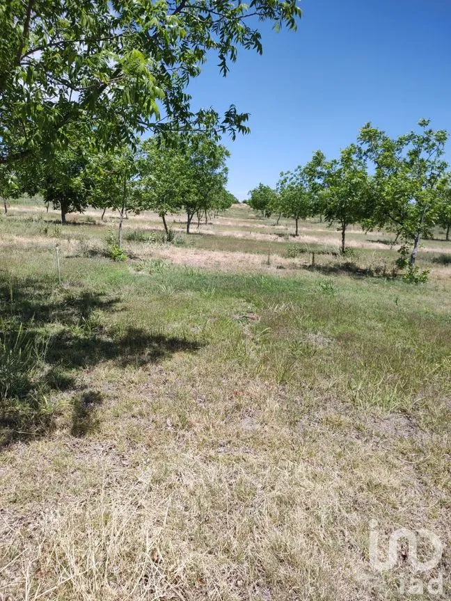Terreno en Venta en San Francisco de Conchos, San Francisco de Conchos, Chihuahua | NEX-300685 | iad México | Foto 10 de 14