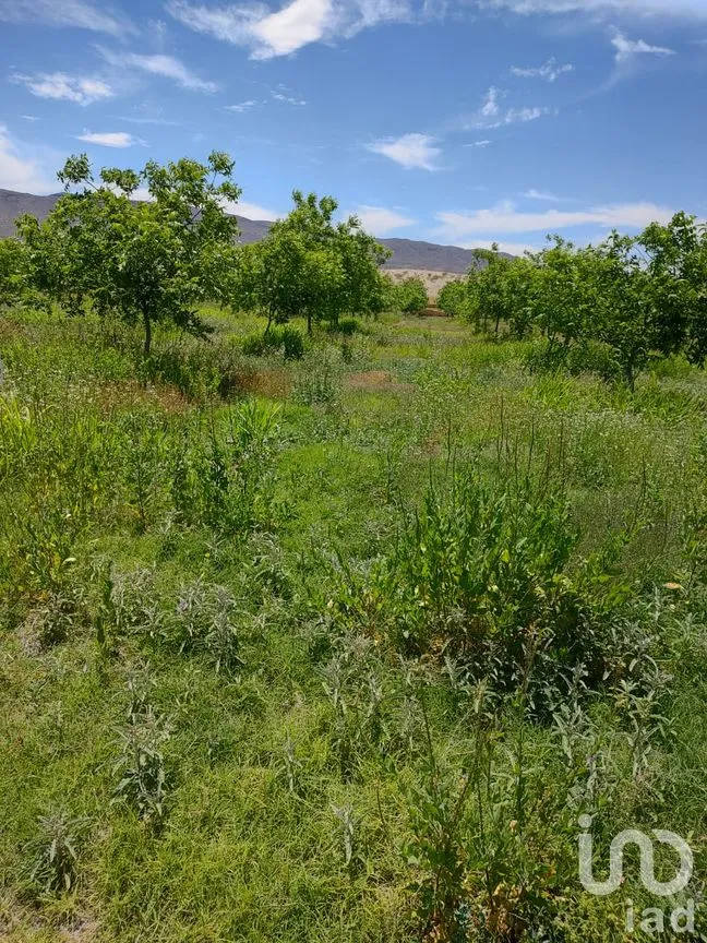 Terreno en Venta en San Francisco de Conchos, San Francisco de Conchos, Chihuahua | NEX-300685 | iad México | Foto 1 de 14