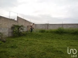 NEX-269397 - Terreno en Venta en Lomas del Ajonjolinar, CP 62588, Morelos.