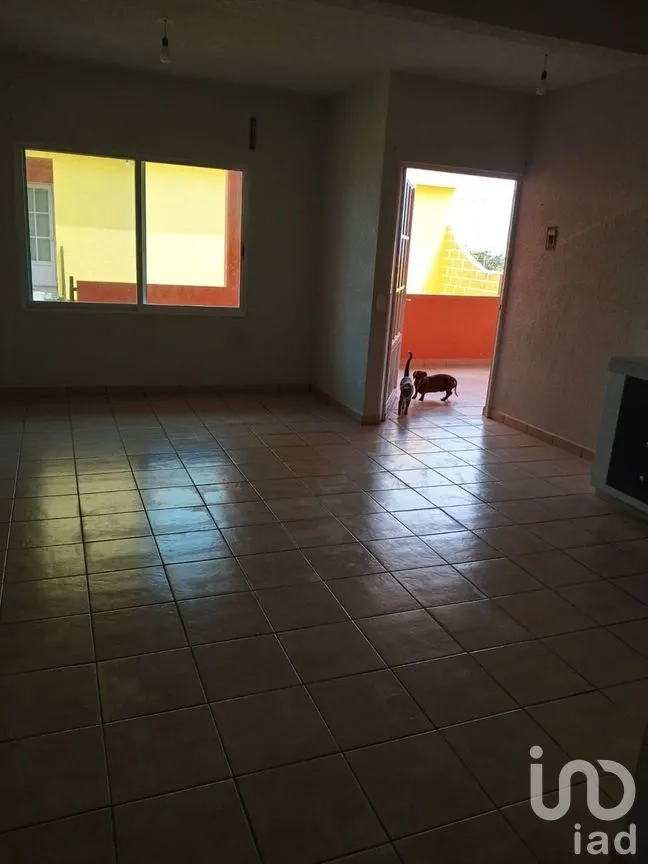 Casa en Venta en Papayos, Cuernavaca, Morelos | NEX-269405 | iad México | Foto 10 de 49