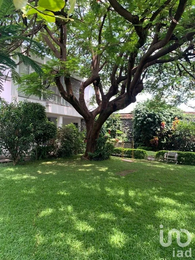 Departamento en Renta en Cuernavaca Centro, Cuernavaca, Morelos | NEX-269412 | iad México | Foto 1 de 9
