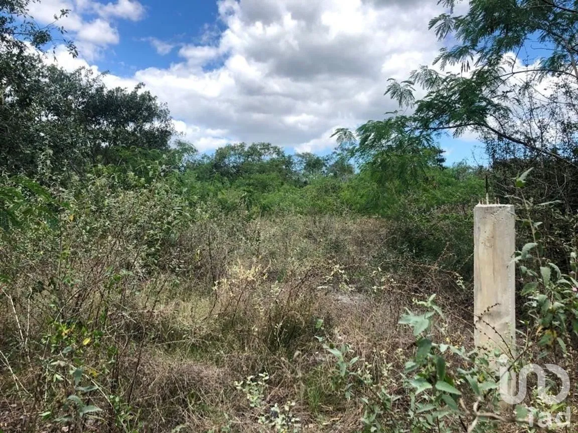 Terreno en Venta en Sierra Papacal, Mérida, Yucatán | NEX-269872 | iad México | Foto 2 de 4