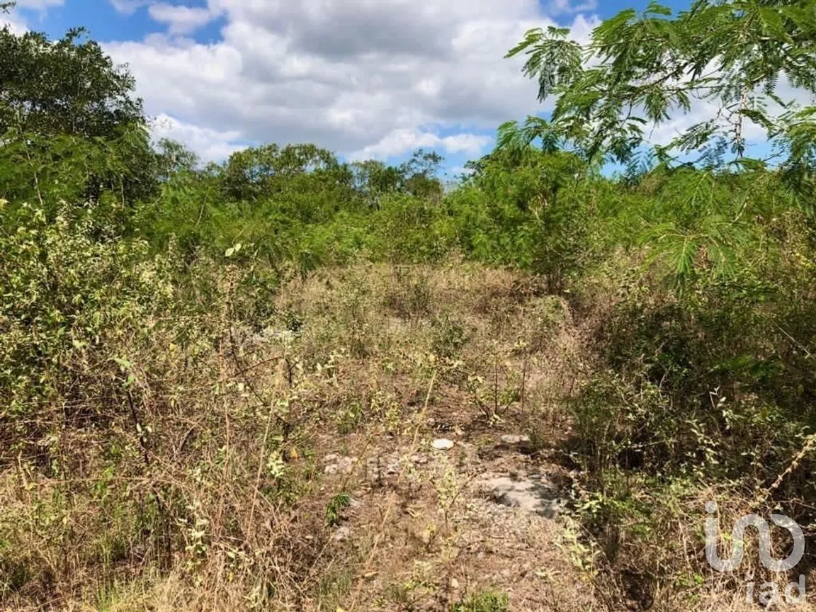 Terreno en Venta en Sierra Papacal, Mérida, Yucatán | NEX-269872 | iad México | Foto 3 de 4