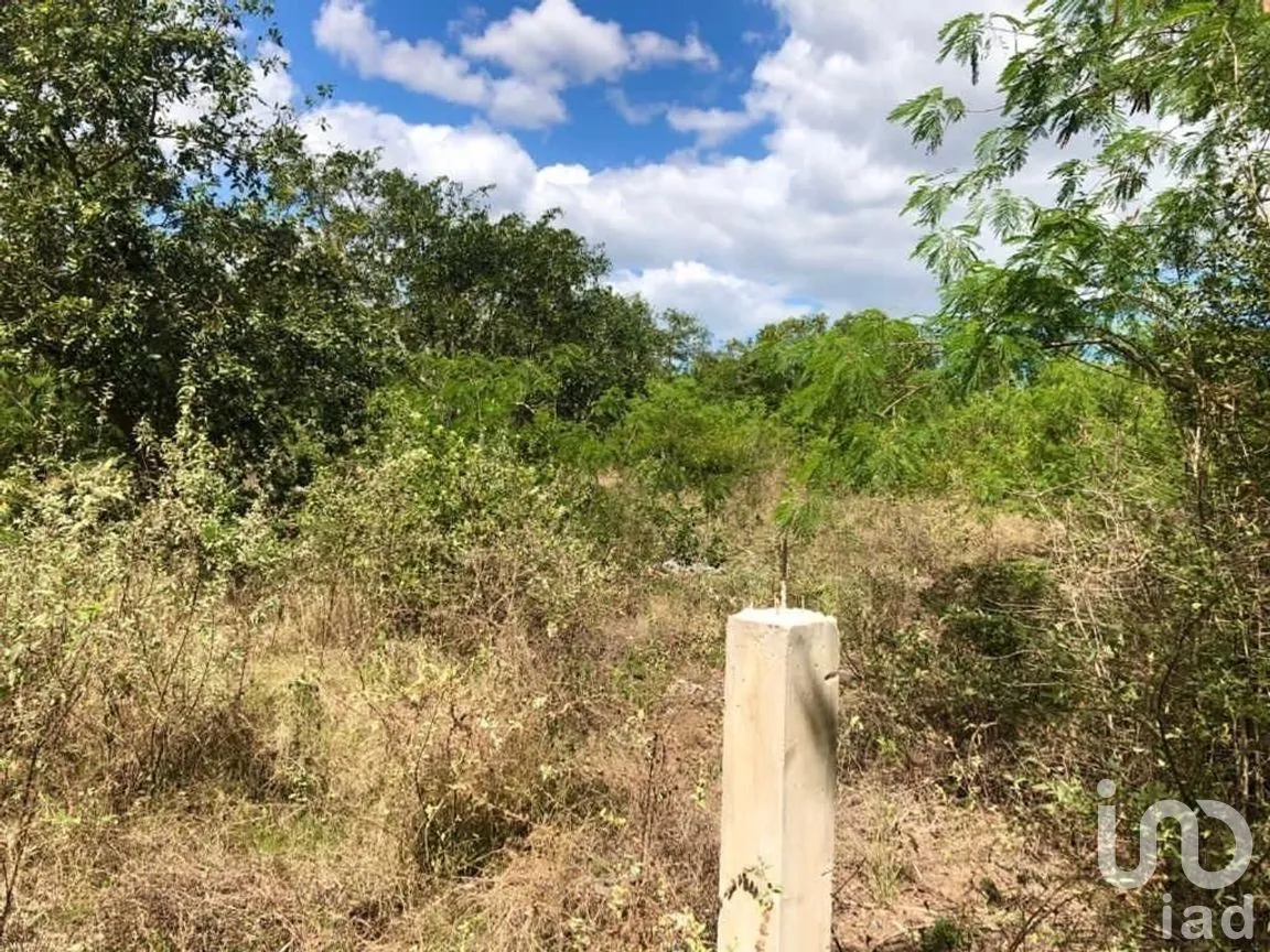 Terreno en Venta en Sierra Papacal, Mérida, Yucatán | NEX-269872 | iad México | Foto 4 de 4