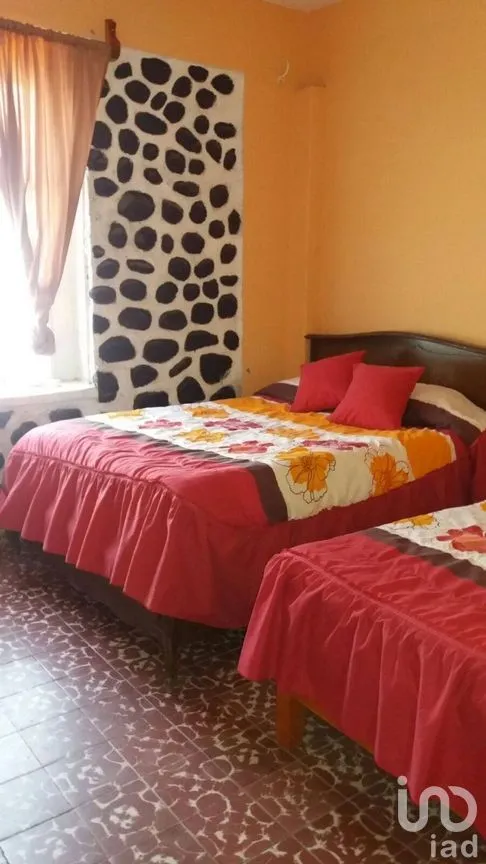 Casa en Renta en Centro, Cuautla, Morelos | NEX-269878 | iad México | Foto 13 de 44