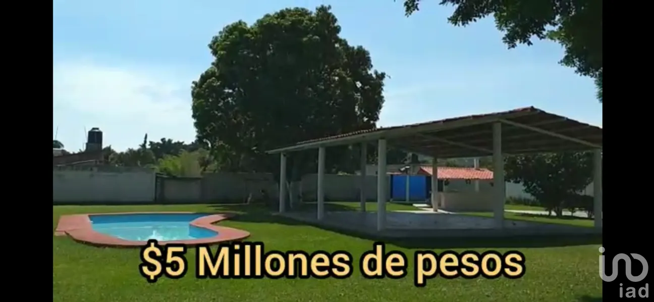 Casa en Renta en Centro, Cuautla, Morelos | NEX-269878 | iad México | Foto 3 de 44