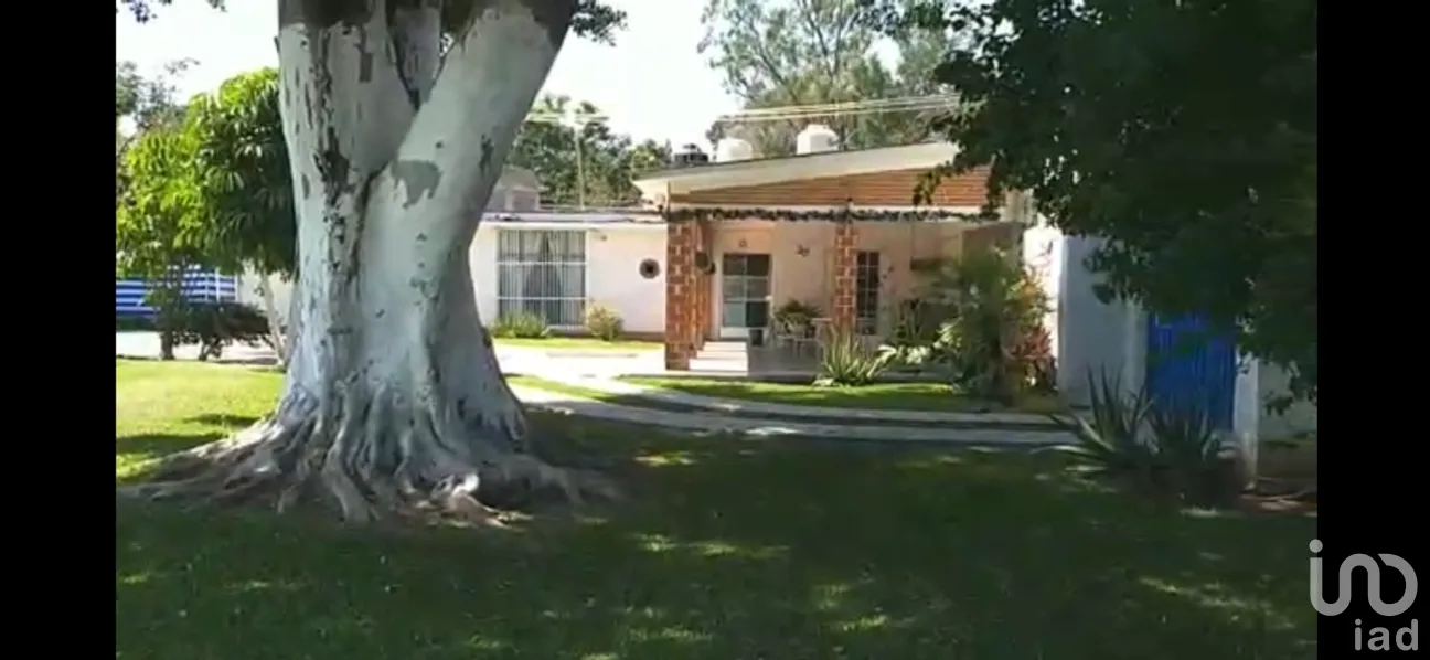 Casa en Renta en Centro, Cuautla, Morelos | NEX-269878 | iad México | Foto 37 de 44