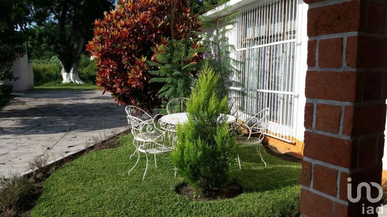 Casa en Renta en Centro, Cuautla, Morelos | NEX-269878 | iad México | Foto 6 de 44