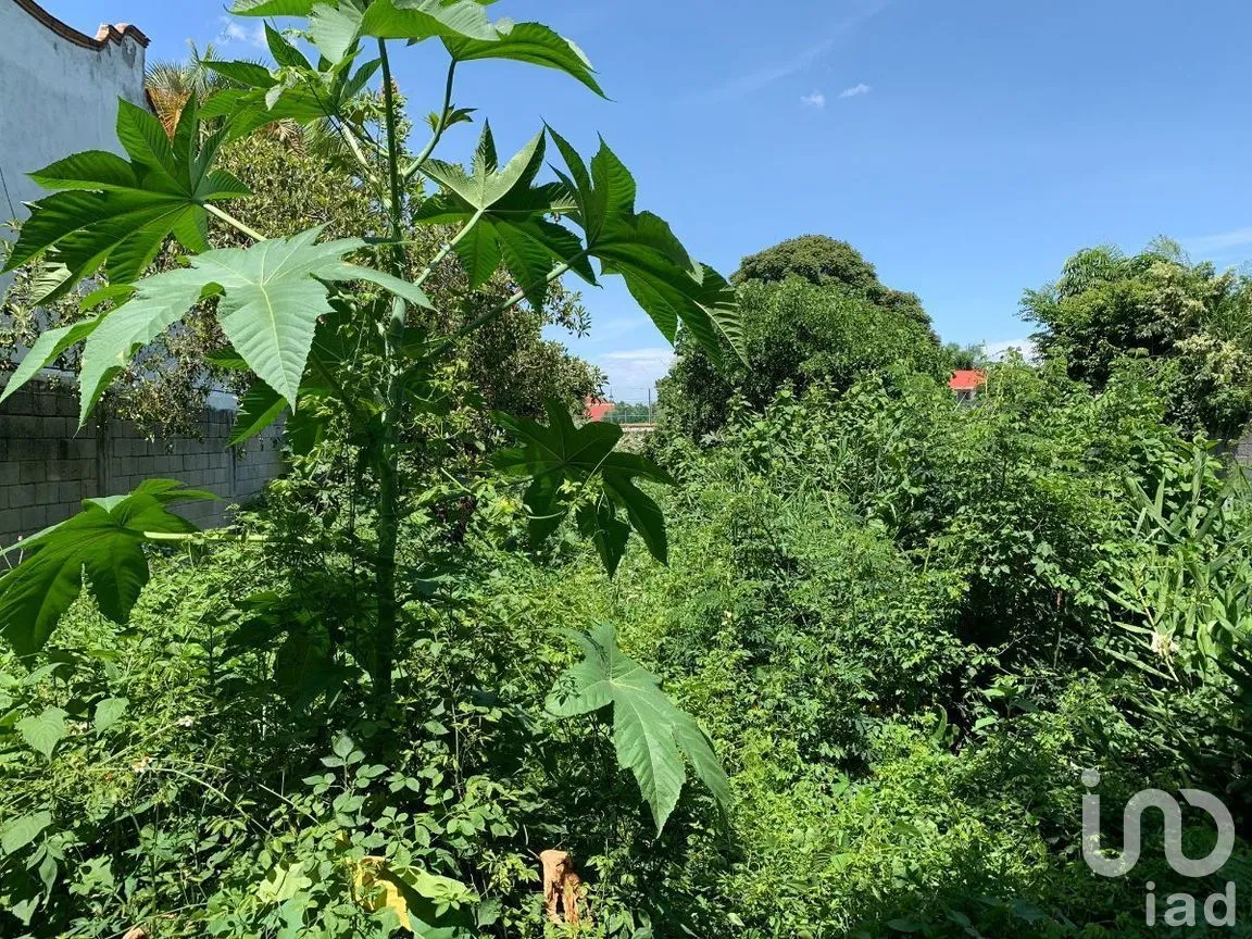 Terreno en Venta en Residencial Sumiya, Jiutepec, Morelos | NEX-269879 | iad México | Foto 2 de 5