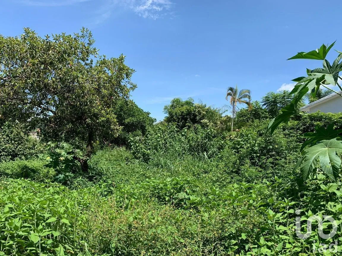 Terreno en Venta en Residencial Sumiya, Jiutepec, Morelos | NEX-269879 | iad México | Foto 4 de 5