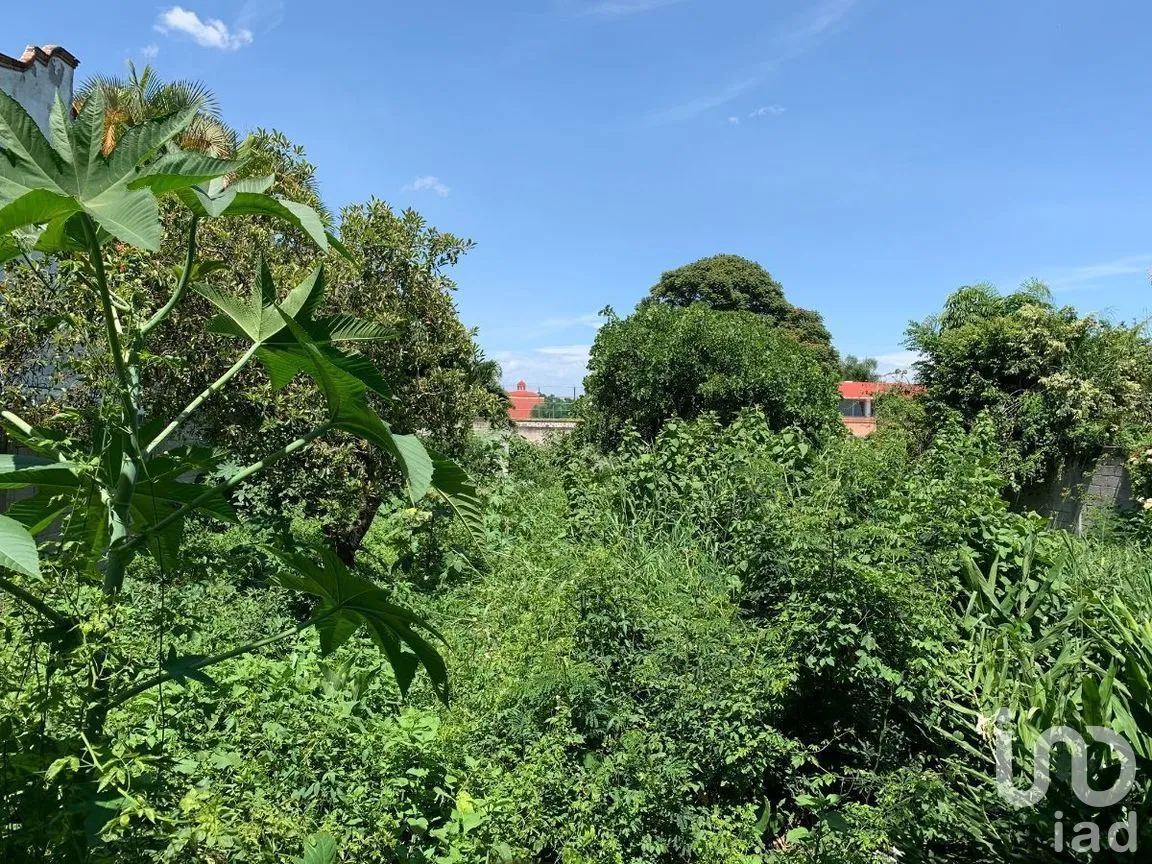 Terreno en Venta en Residencial Sumiya, Jiutepec, Morelos | NEX-269879 | iad México | Foto 5 de 5