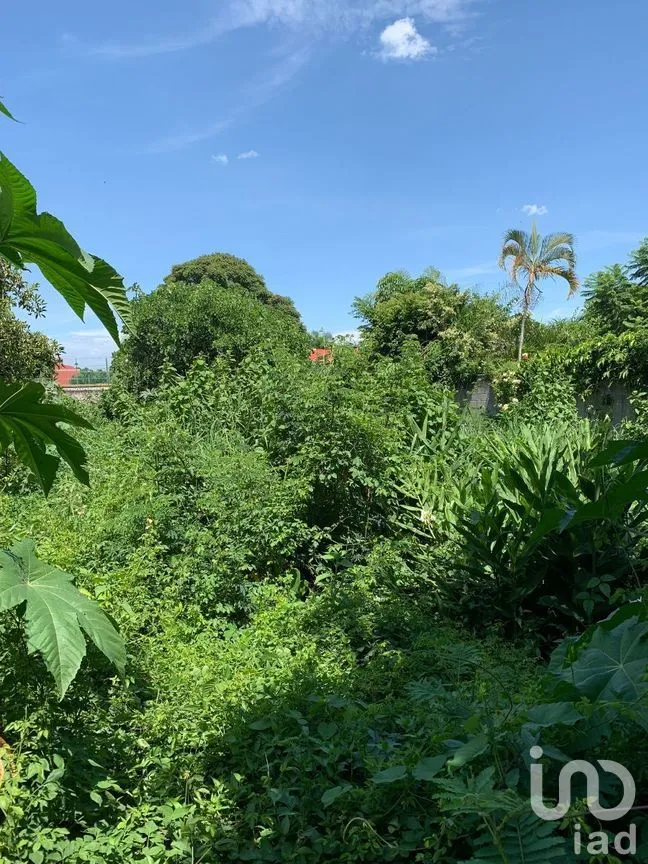 Terreno en Venta en Residencial Sumiya, Jiutepec, Morelos | NEX-269879 | iad México | Foto 1 de 5