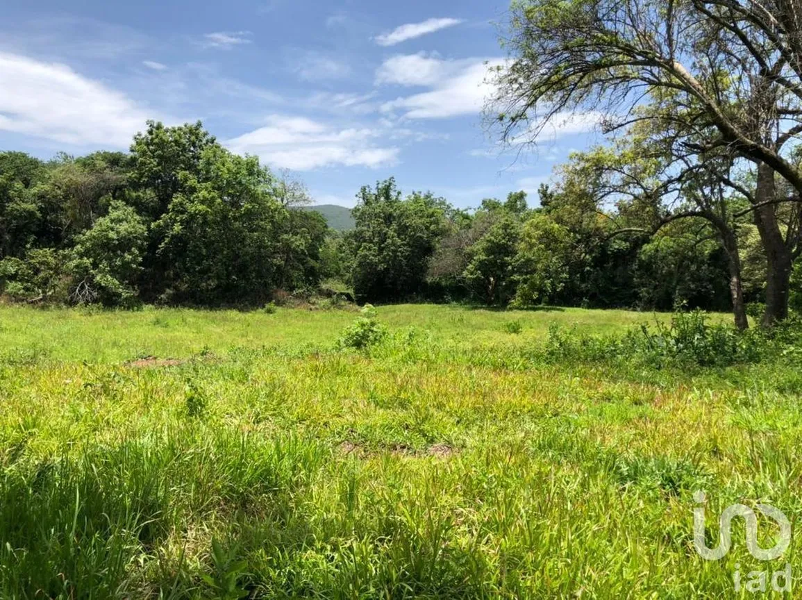 Terreno en Venta en San Andrés de la Cal, Tepoztlán, Morelos | NEX-269882 | iad México | Foto 3 de 5