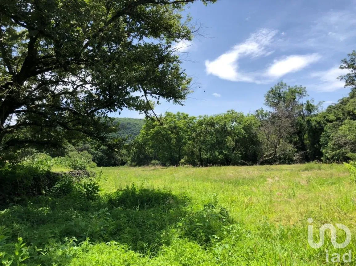 Terreno en Venta en San Andrés de la Cal, Tepoztlán, Morelos | NEX-269882 | iad México | Foto 4 de 5
