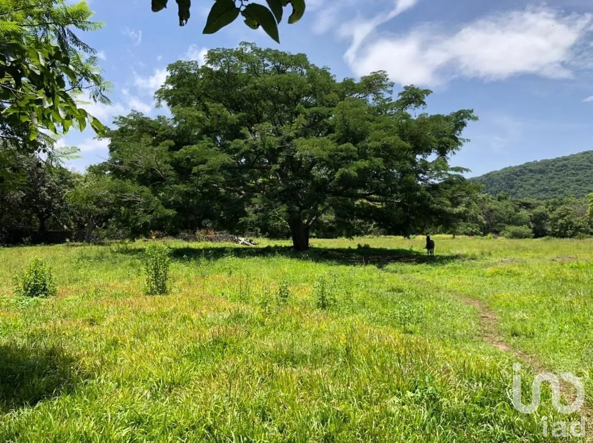 Terreno en Venta en San Andrés de la Cal, Tepoztlán, Morelos | NEX-269882 | iad México | Foto 5 de 5