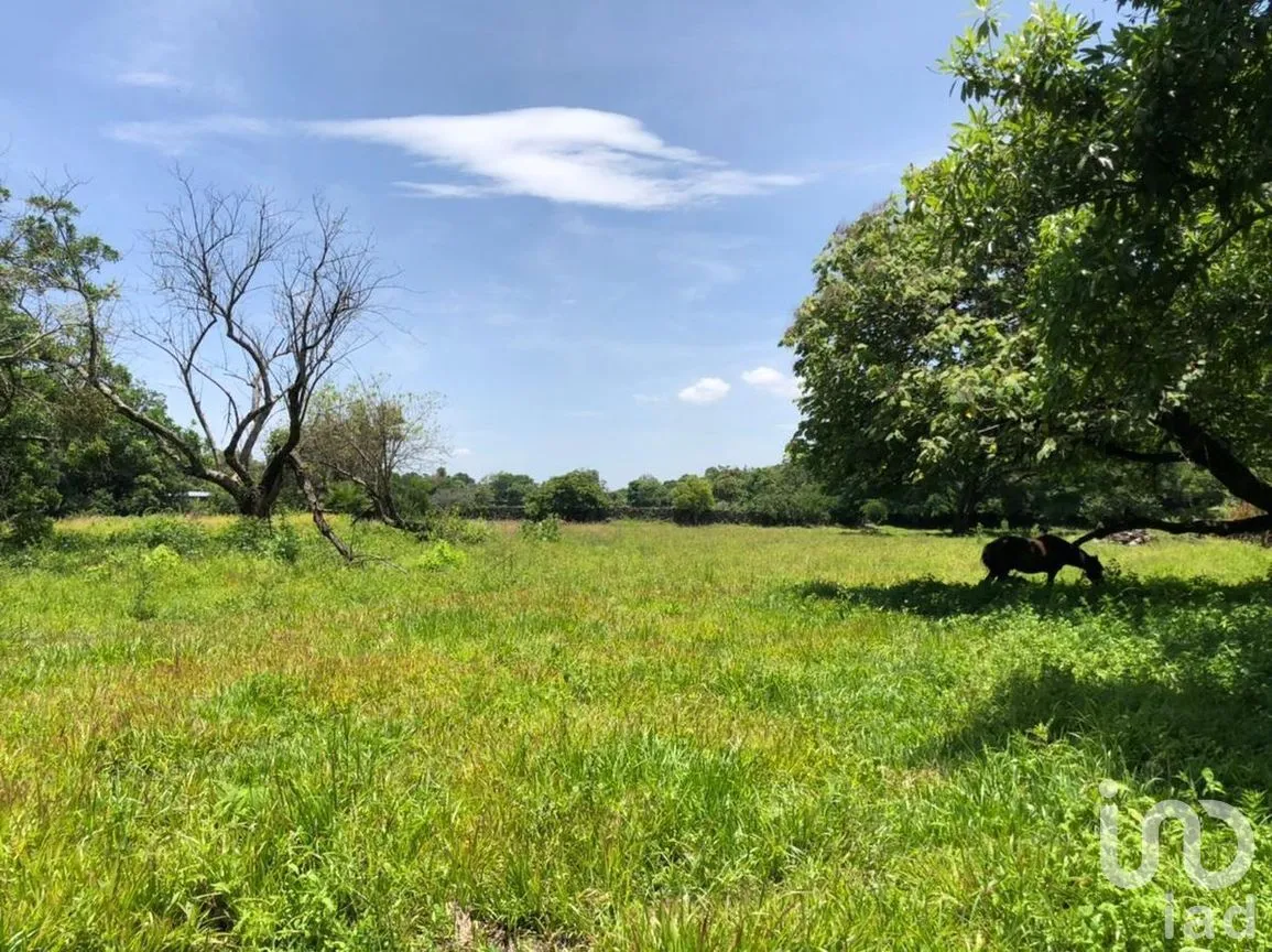 Terreno en Venta en San Andrés de la Cal, Tepoztlán, Morelos | NEX-269882 | iad México | Foto 1 de 5