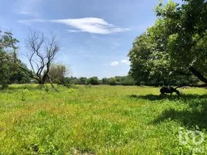 NEX-269882 - Terreno en Venta en San Andrés de la Cal, CP 62526, Morelos.