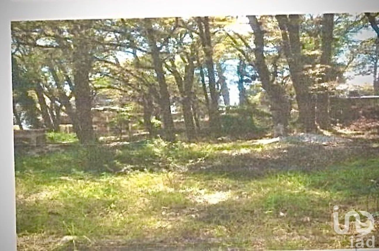 Terreno en Venta en Huertas de San Pedro, Huitzilac, Morelos | NEX-270015 | iad México | Foto 1 de 2
