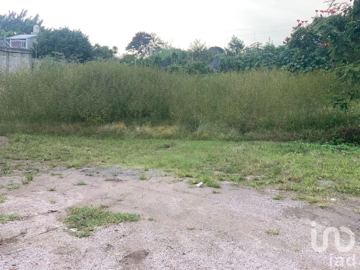 Terreno en Venta en Lomas de Jiutepec, Jiutepec, Morelos | NEX-270016 | iad México | Foto 1 de 4
