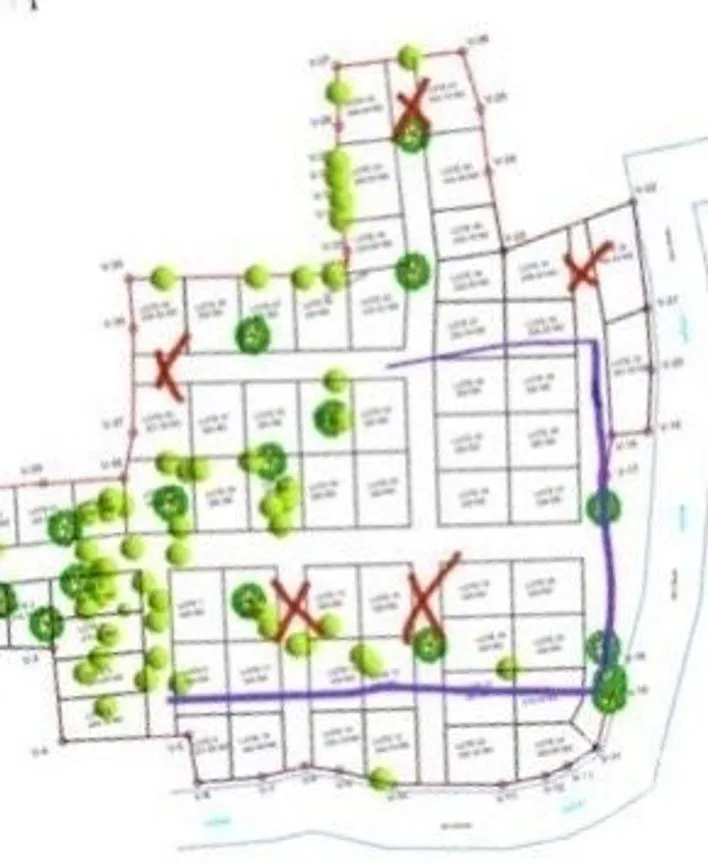 Terreno en Venta en Tetecala, Tetecala, Morelos | NEX-270017 | iad México | Foto 2 de 32