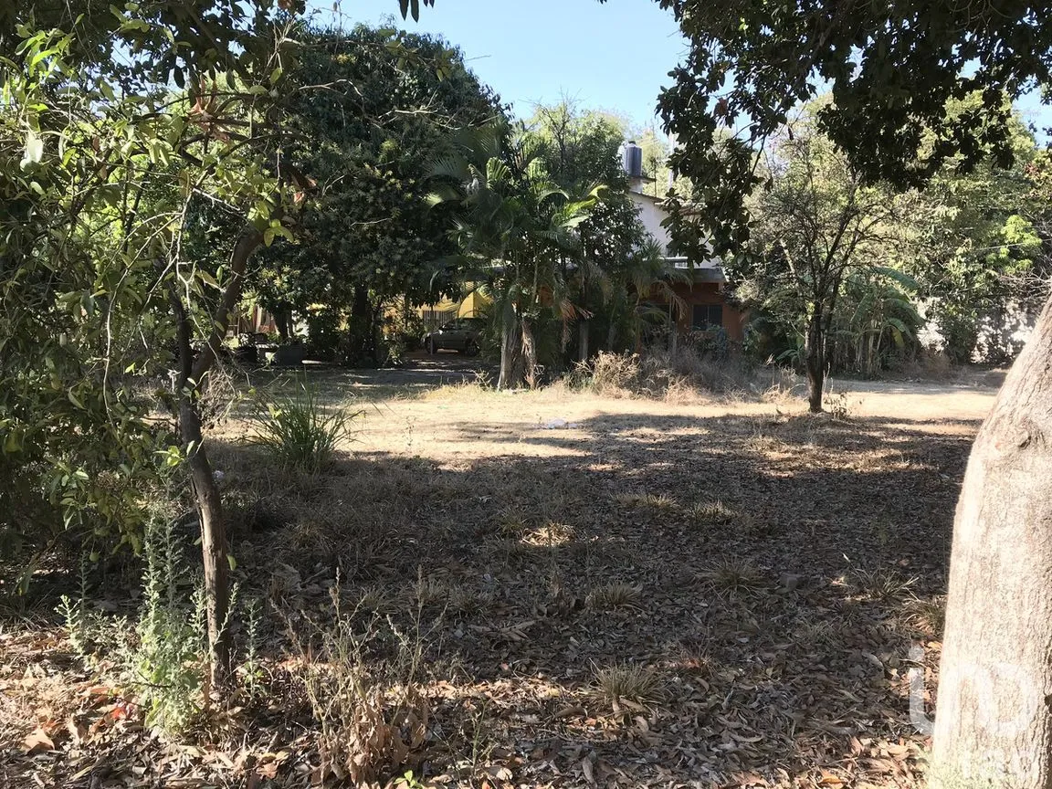 Terreno en Venta en Tetecala, Tetecala, Morelos | NEX-270017 | iad México | Foto 11 de 32