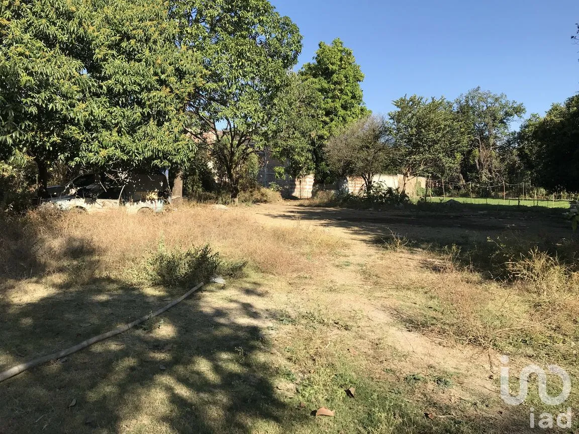 Terreno en Venta en Tetecala, Tetecala, Morelos | NEX-270017 | iad México | Foto 12 de 32