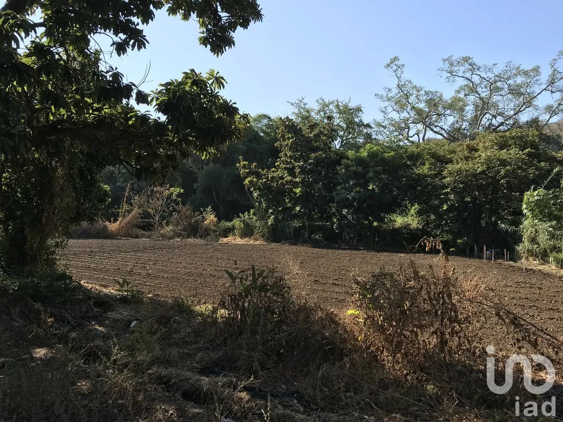 Terreno en Venta en Tetecala, Tetecala, Morelos | NEX-270017 | iad México | Foto 15 de 32