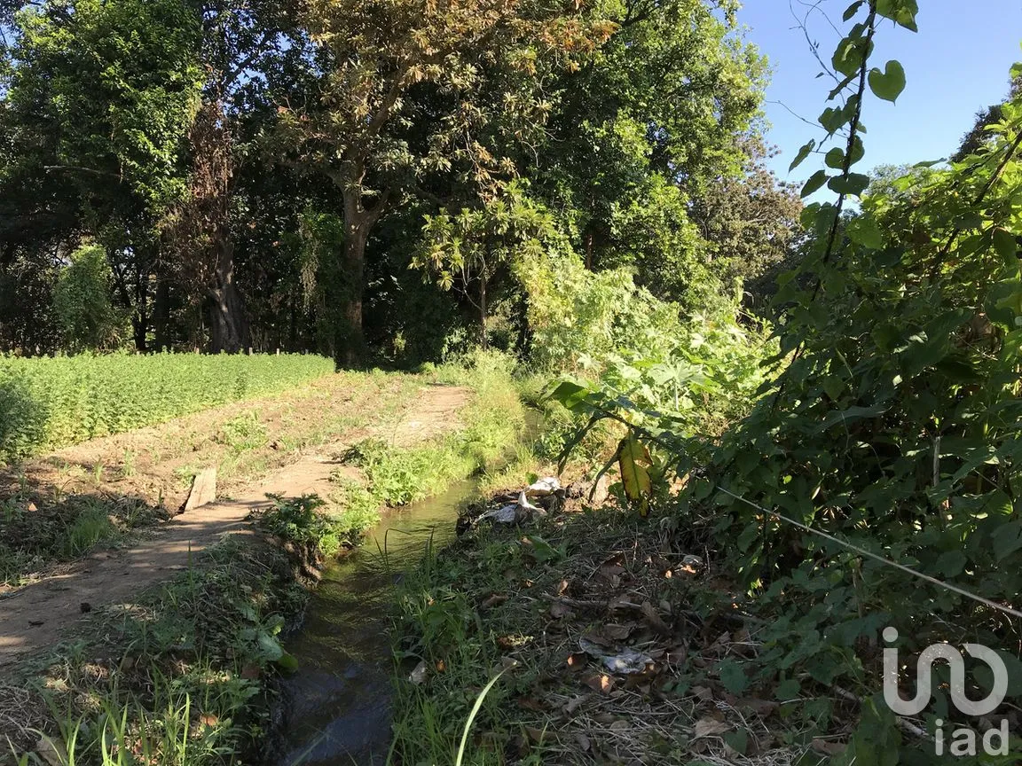 Terreno en Venta en Tetecala, Tetecala, Morelos | NEX-270017 | iad México | Foto 17 de 32