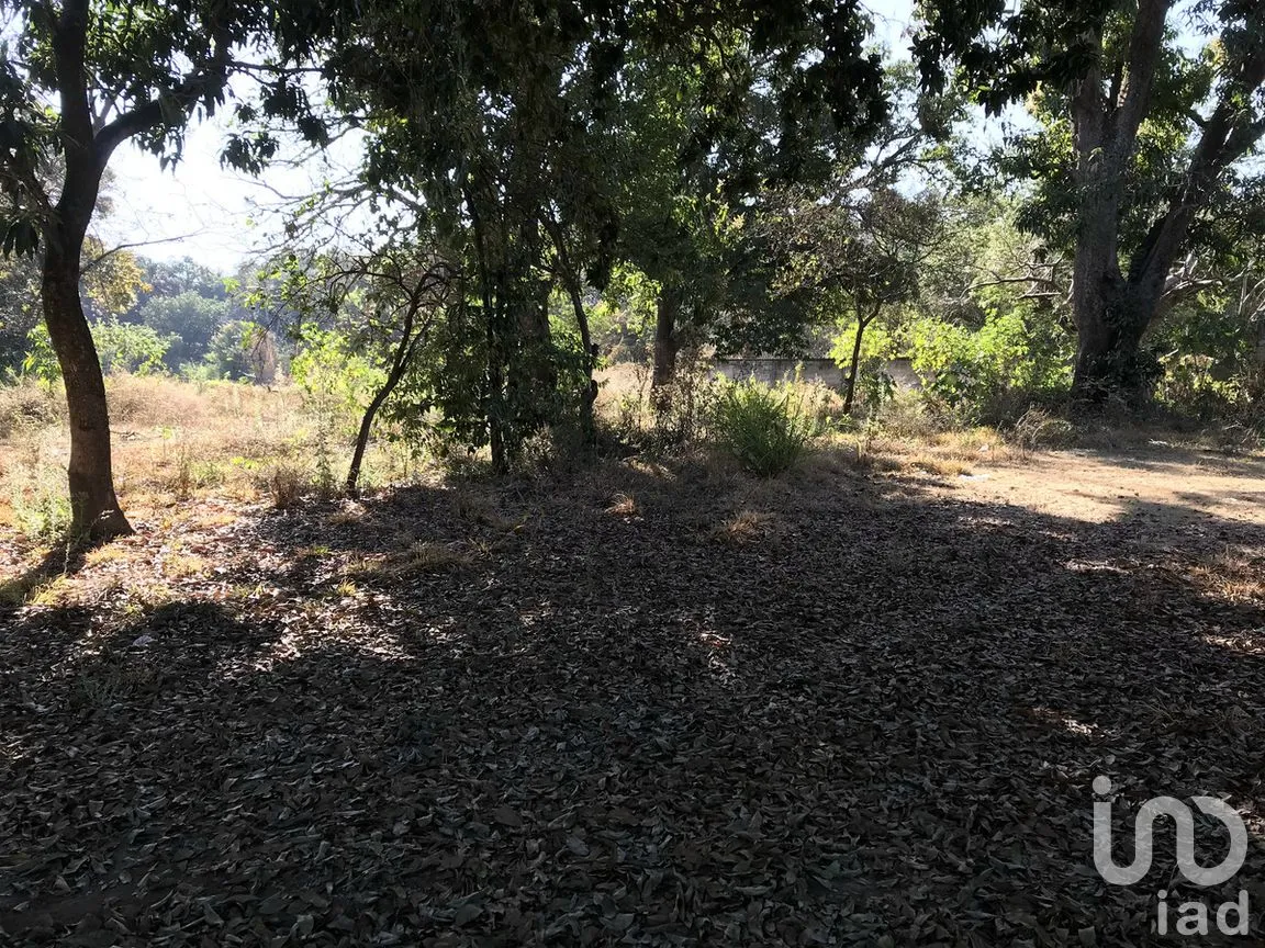 Terreno en Venta en Tetecala, Tetecala, Morelos | NEX-270017 | iad México | Foto 20 de 32