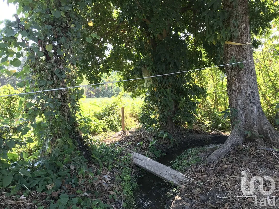 Terreno en Venta en Tetecala, Tetecala, Morelos | NEX-270017 | iad México | Foto 22 de 32