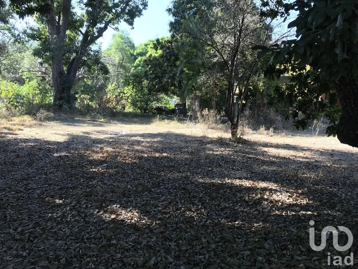 Terreno en Venta en Tetecala, Tetecala, Morelos | NEX-270017 | iad México | Foto 26 de 32
