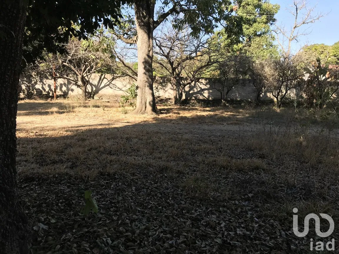 Terreno en Venta en Tetecala, Tetecala, Morelos | NEX-270017 | iad México | Foto 27 de 32