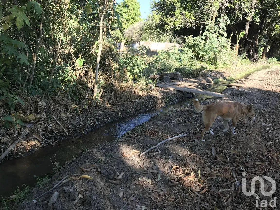 Terreno en Venta en Tetecala, Tetecala, Morelos | NEX-270017 | iad México | Foto 28 de 32
