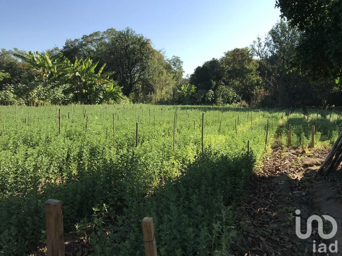 Terreno en Venta en Tetecala, Tetecala, Morelos | NEX-270017 | iad México | Foto 29 de 32