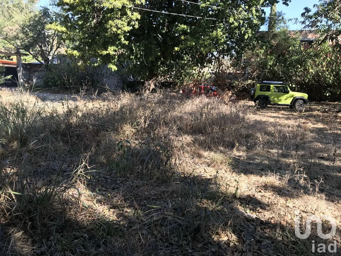 Terreno en Venta en Tetecala, Tetecala, Morelos | NEX-270017 | iad México | Foto 31 de 32