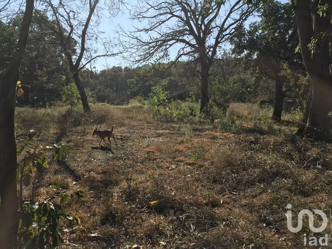 Terreno en Venta en Tetecala, Tetecala, Morelos | NEX-270017 | iad México | Foto 32 de 32